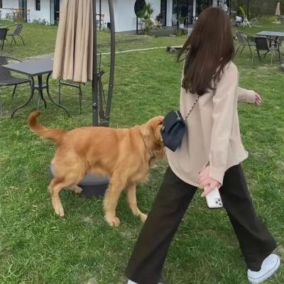 美男鱼澡堂